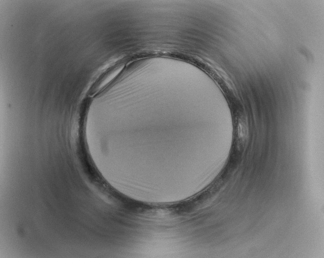 X0000116590492201001071237