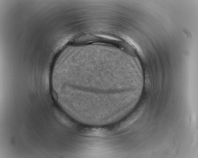 X0000116590493201001071237