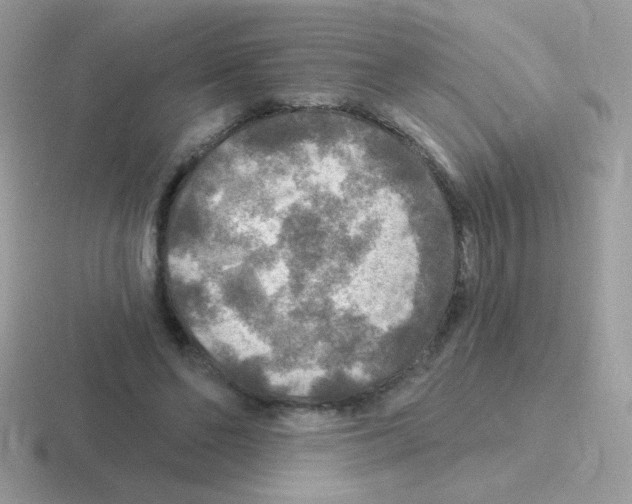 X0000116590494201001071237