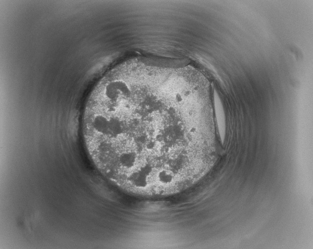 X0000116590495201001071236