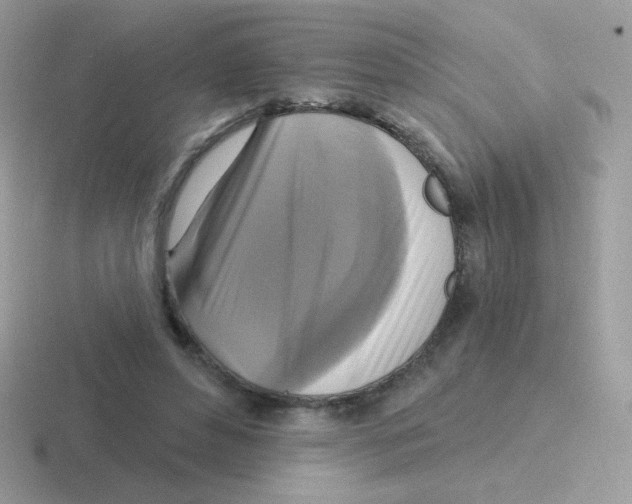 X0000116590496201001071236