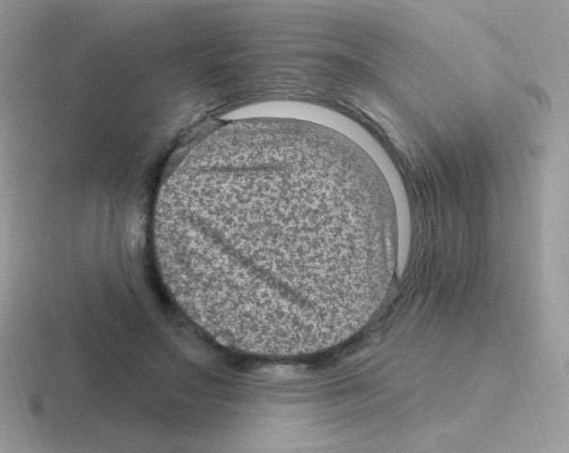 X0000116590499201001071236