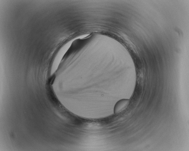 X0000116590500201001071236