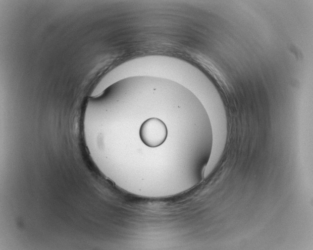 X0000116590501201001071236