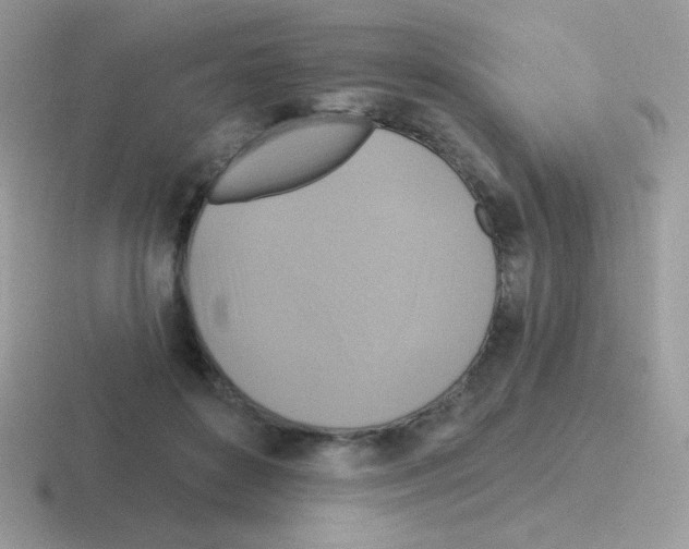 X0000116590504201001071236