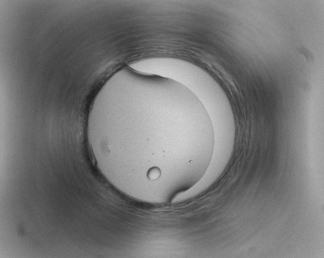 X0000116590505201001071236