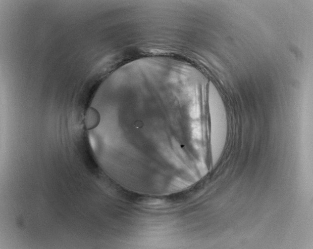 X0000116590507201001071236