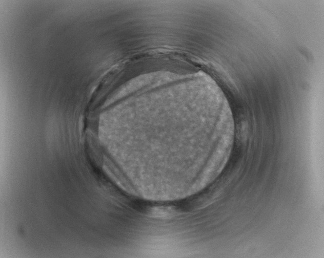 X0000116590508201001071236