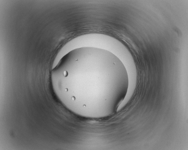 X0000116590509201001071236