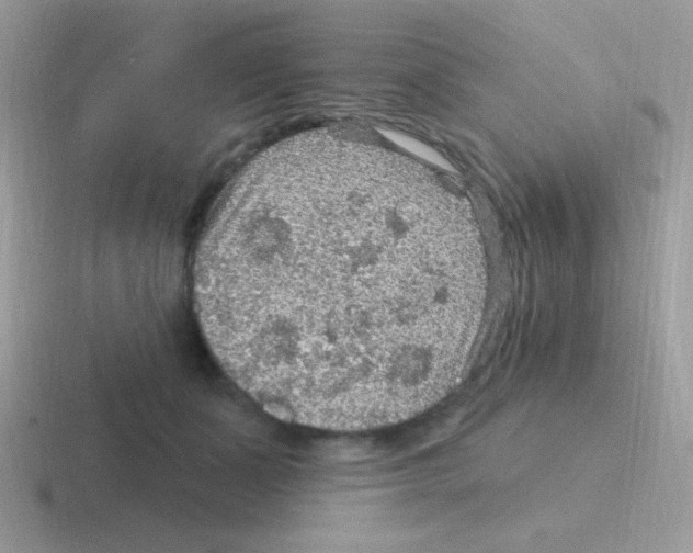 X0000116590511201001071236