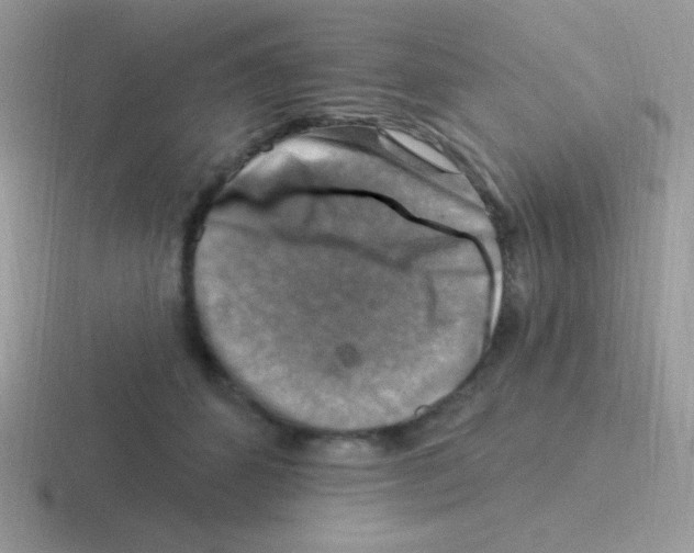 X0000116590512201001071236