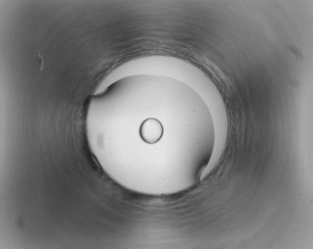 X0000116590513201001071236