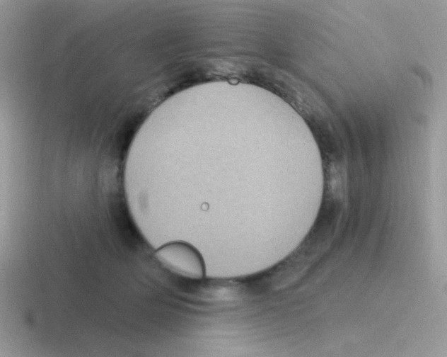 X0000116590514201001071236