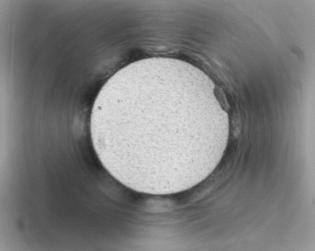 X0000116590515201001071236