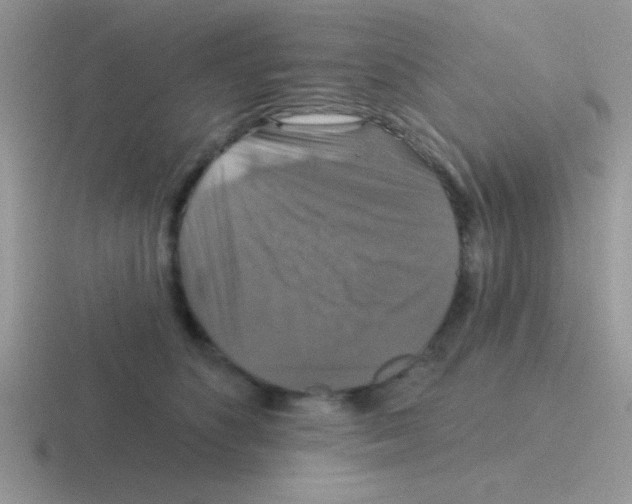 X0000116590516201001071236