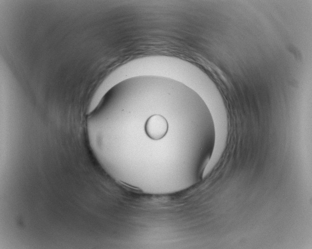 X0000116590517201001071236