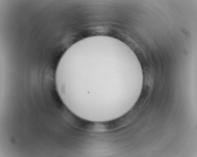 X0000116590518201001071236