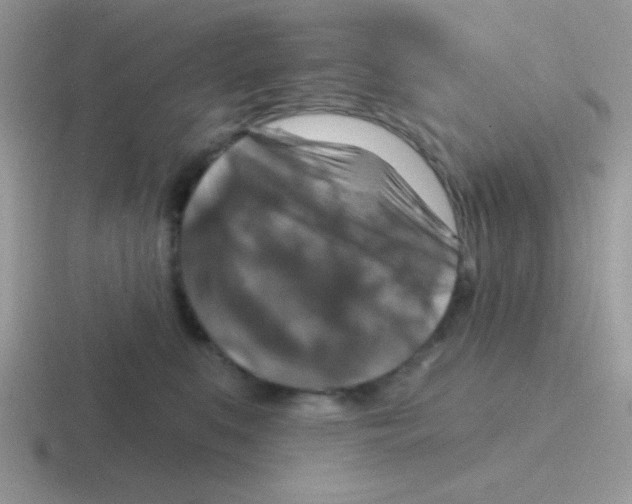 X0000116590519201001071236