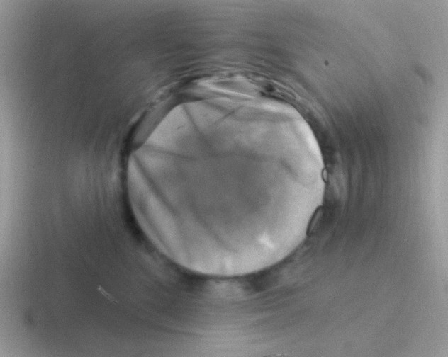 X0000116590520201001071236