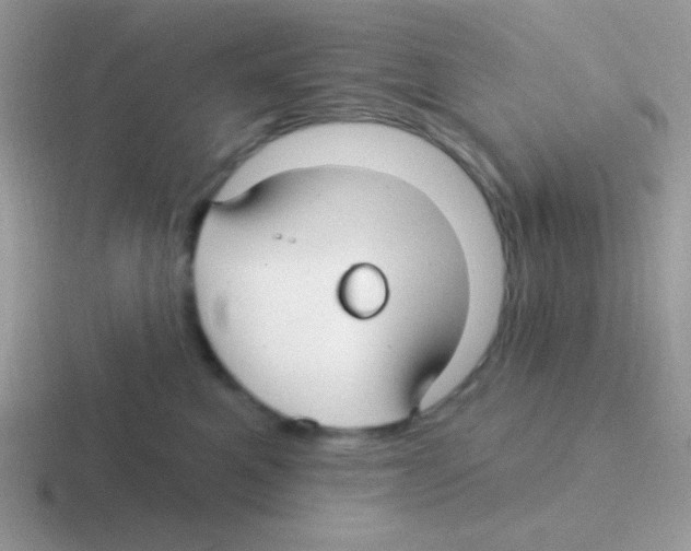 X0000116590521201001071236