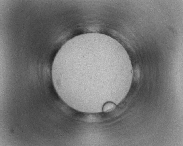 X0000116590522201001071236