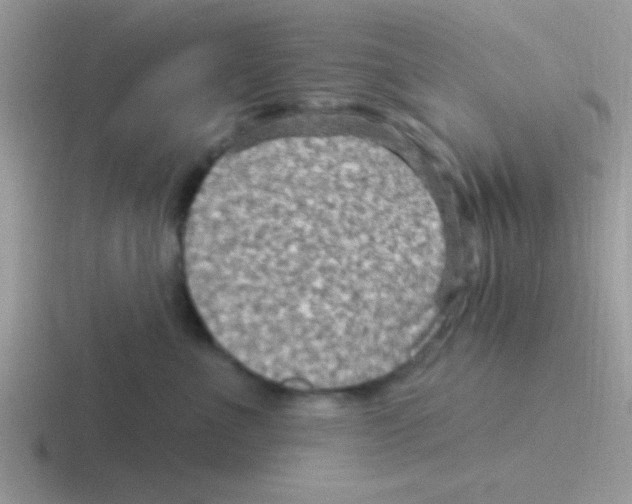 X0000116590523201001071236