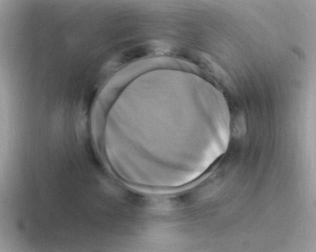 X0000116590524201001071236