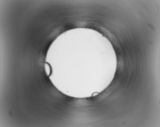 X0000116590525201001071236