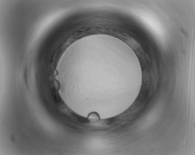 X0000116590526201001071236