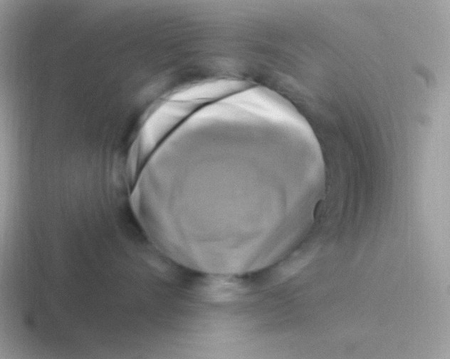 X0000116590528201001071236