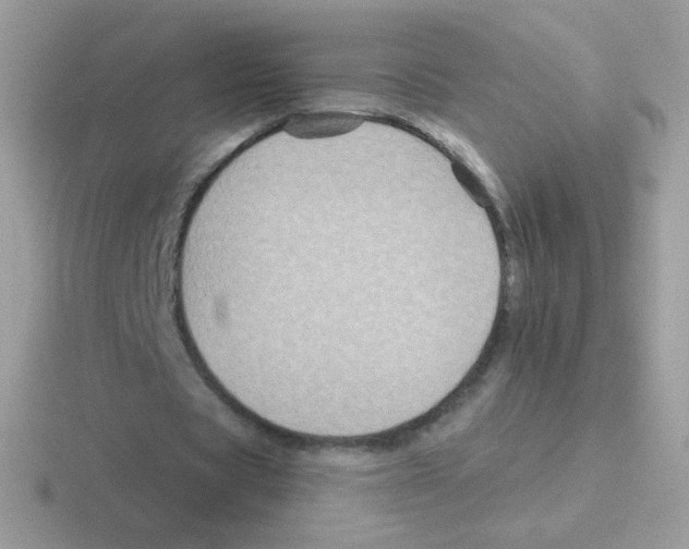 X0000116590529201001071235