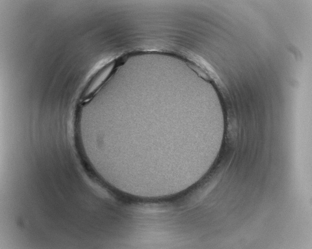 X0000116590530201001071235