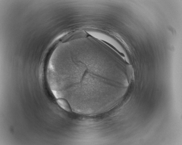 X0000116590531201001071235