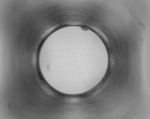 X0000116590533201001071236