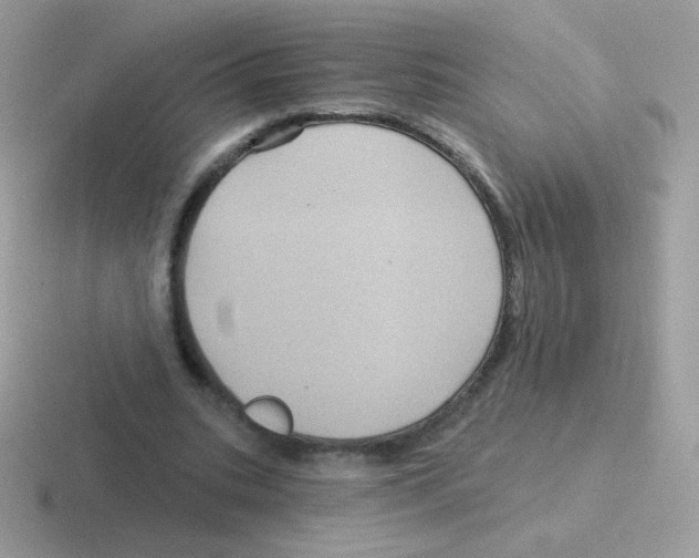 X0000116590535201001071236