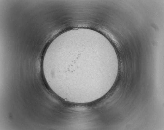 X0000116590537201001071236