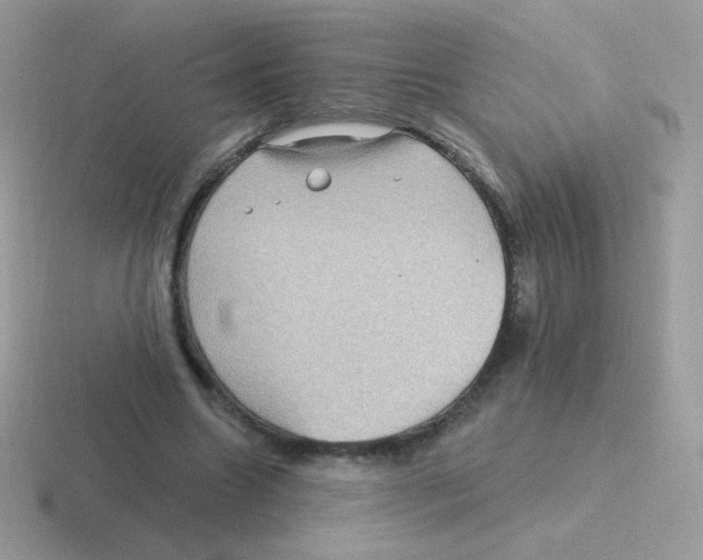 X0000116590538201001071236