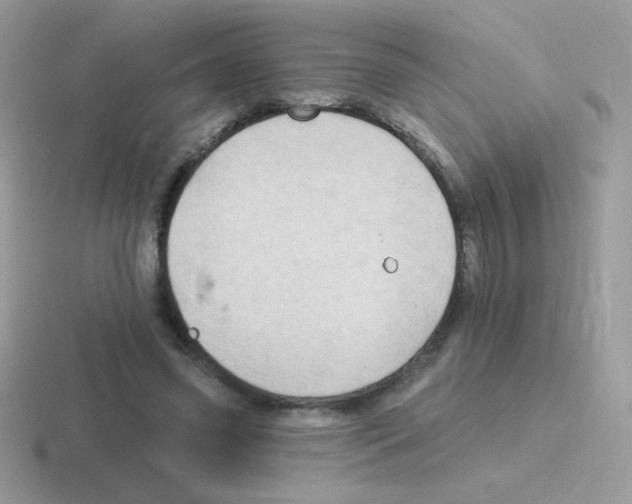 X0000116590541201001071236