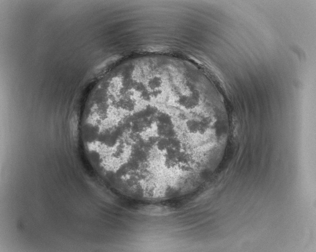 X0000116590542201001071236