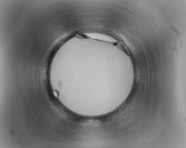 X0000116590543201001071236