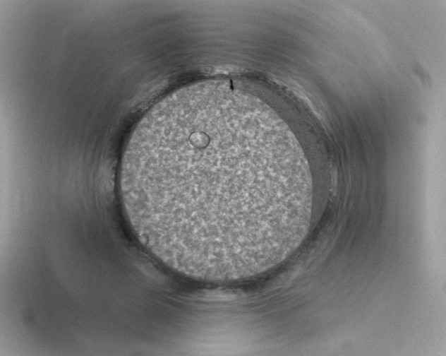 X0000116590545201001071236