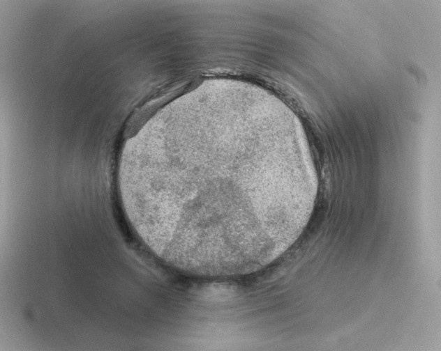 X0000116590546201001071236