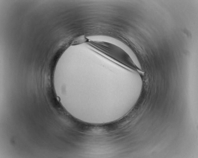 X0000116590547201001071236