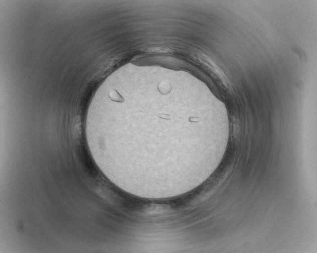 X0000116590549201001071236