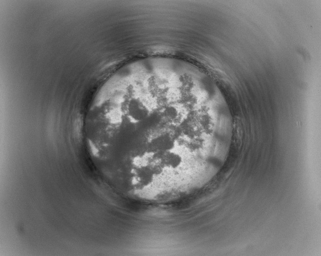 X0000116590550201001071236