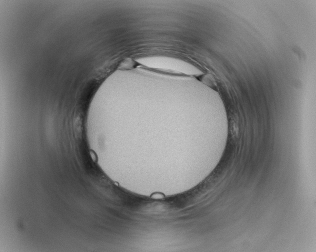 X0000116590551201001071236