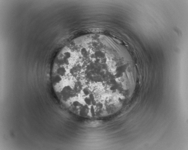 X0000116590553201001071236