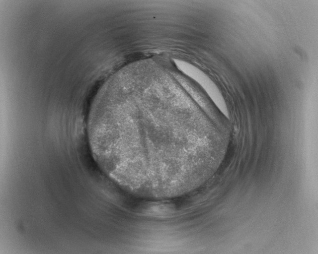 X0000116590555201001071236