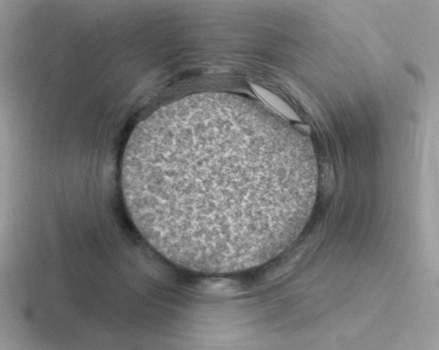 X0000116590557201001071236