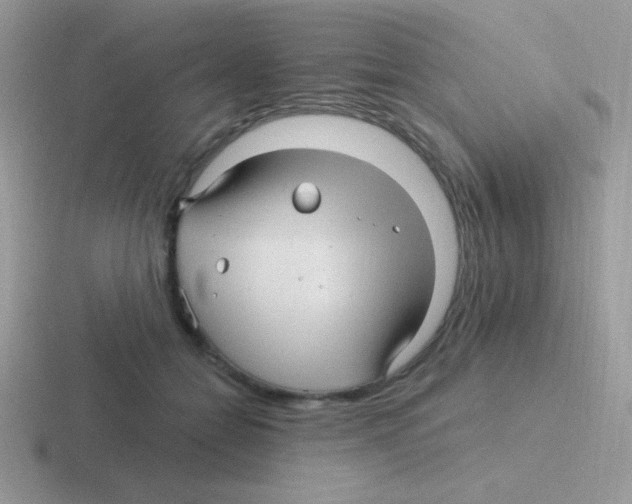 X0000116590558201001071236